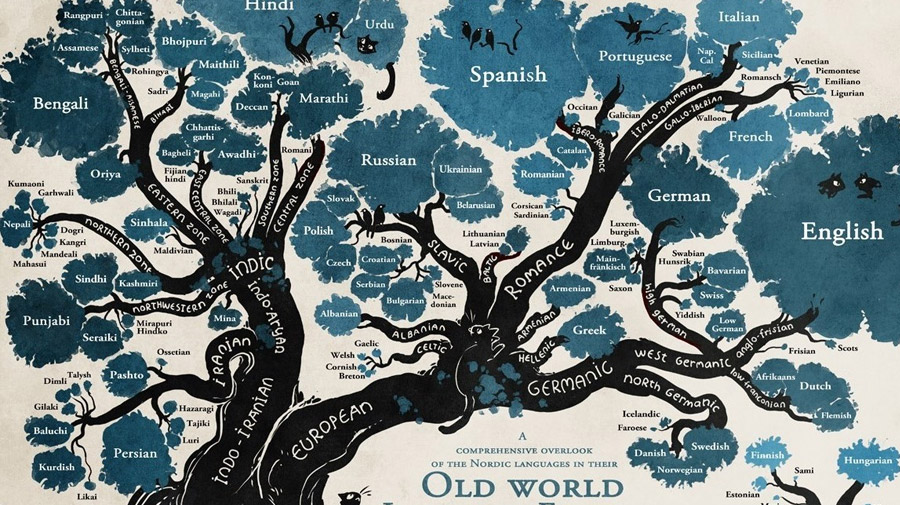 ‍Language Families - The branches that beckon us to closer connections